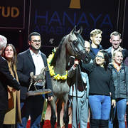 Yearling Colt Silver Champion: Al Maher Al Sayed (Alexxanderr X Mera Alsayed)   