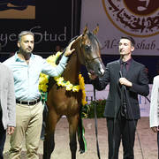 Yearling Colt Bronze Champion: D Bareq (FA El Rasheem X Royal Emira)   