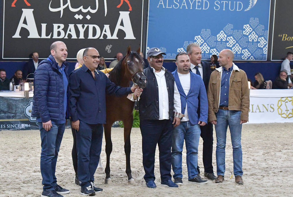 Yearling Filly Silver Champion: SS La Bella (Calypso OS X BF Bella Contessa)  