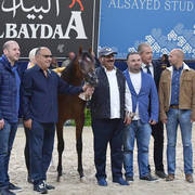 Yearling Filly Silver Champion: SS La Bella (Calypso OS X BF Bella Contessa)  