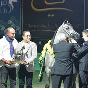 Yearling Filly Bronze Champion: D Shihanah (FA El Rasheem X D Shahla)  