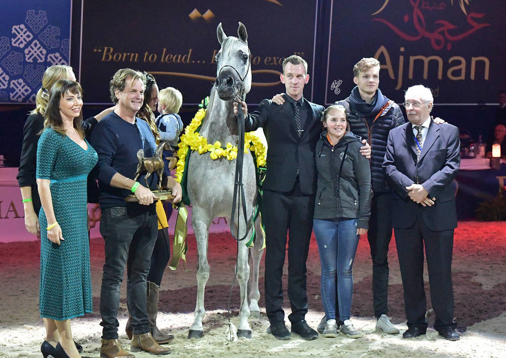 Gelding Gold Champion: Erogant (WH Justice X Raville)  