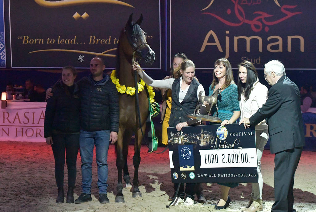 Gelding Bronze Champion: Eromanov T (Marhaabah X Rigona D)