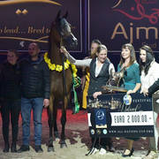 Gelding Bronze Champion: Eromanov T (Marhaabah X Rigona D)