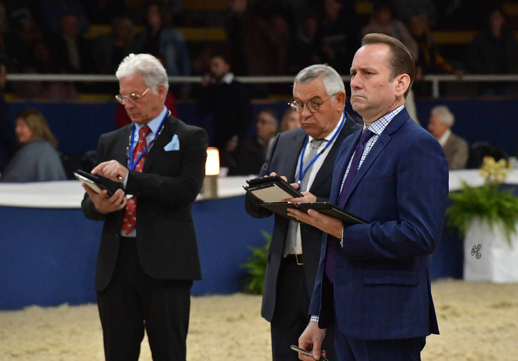 Judge Steve Lieblang