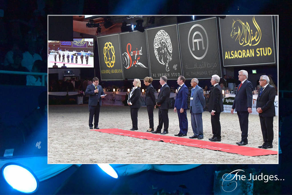 Lisa Abraham: The 2018 All Nations Cup Festival Photo Gallery