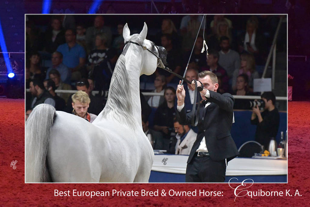 Lisa Abraham: The 2018 All Nations Cup Festival Photo Gallery