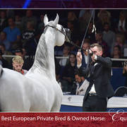 Lisa Abraham: The 2018 All Nations Cup Festival Photo Gallery