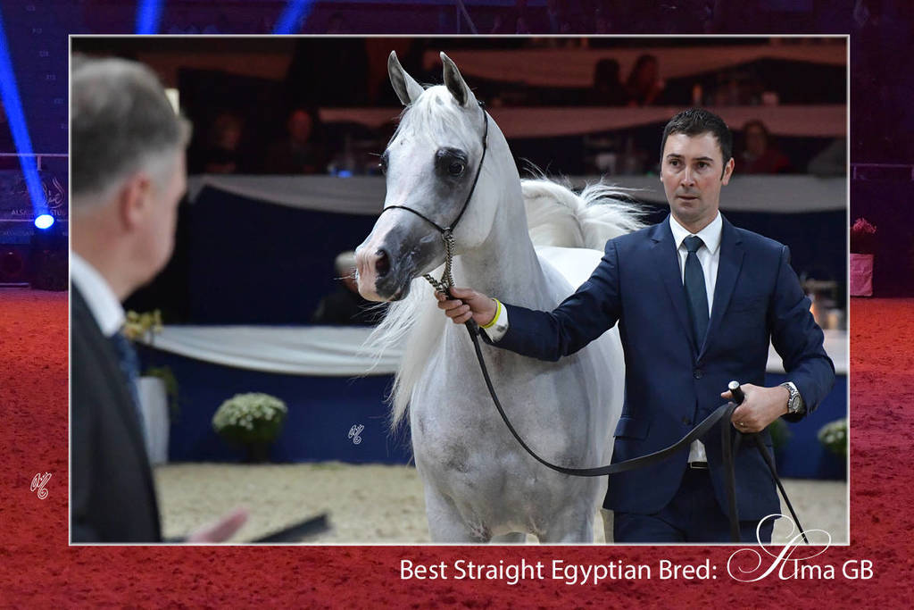 Lisa Abraham: The 2018 All Nations Cup Festival Photo Gallery