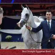 Lisa Abraham: The 2018 All Nations Cup Festival Photo Gallery