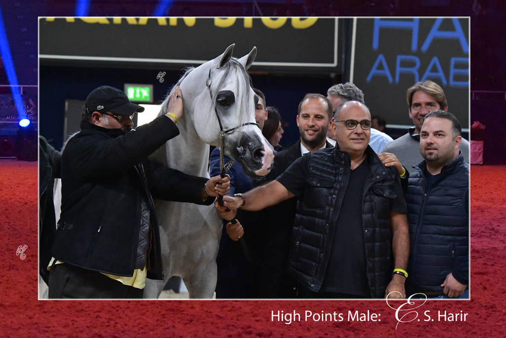 Lisa Abraham: The 2018 All Nations Cup Festival Photo Gallery