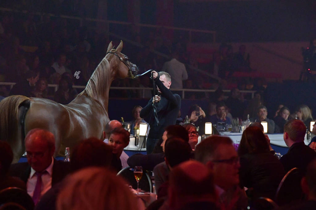 Lisa Abraham: The 2018 All Nations Cup Festival Photo Gallery