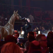 Lisa Abraham: The 2018 All Nations Cup Festival Photo Gallery