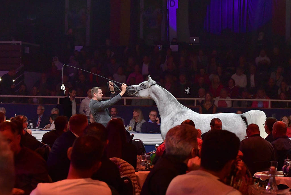 Lisa Abraham: The 2018 All Nations Cup Festival Photo Gallery