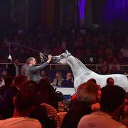 Lisa Abraham: The 2018 All Nations Cup Festival Photo Gallery