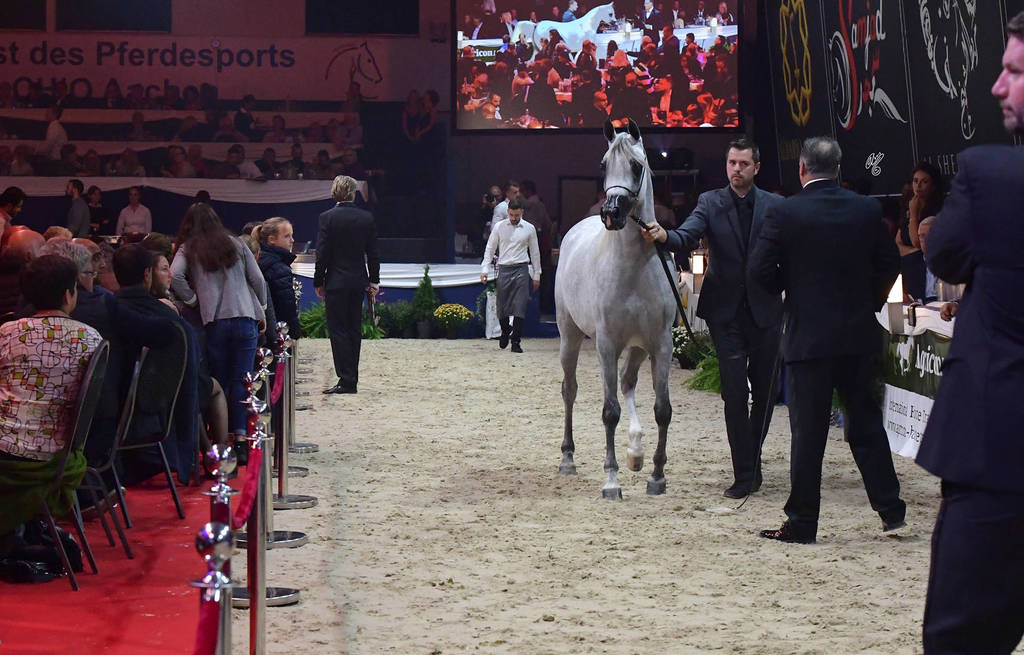 Lisa Abraham: The 2018 All Nations Cup Festival Photo Gallery