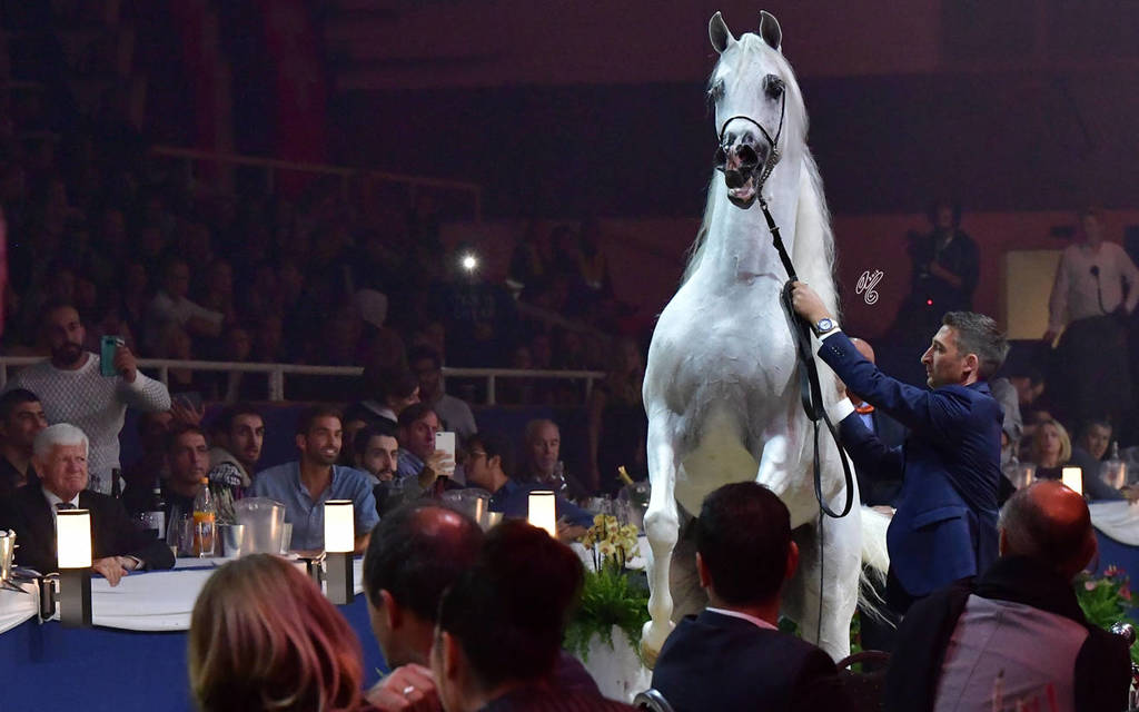 Lisa Abraham: The 2018 All Nations Cup Festival Photo Gallery