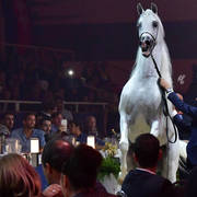 Lisa Abraham: The 2018 All Nations Cup Festival Photo Gallery