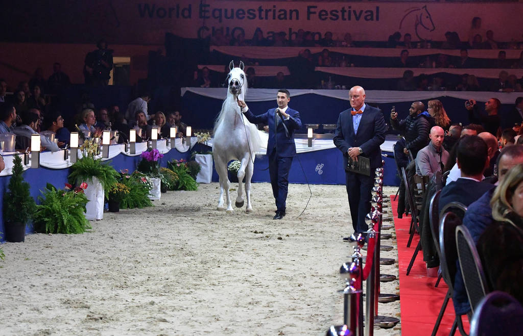 Lisa Abraham: The 2018 All Nations Cup Festival Photo Gallery