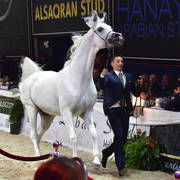 Lisa Abraham: The 2018 All Nations Cup Festival Photo Gallery