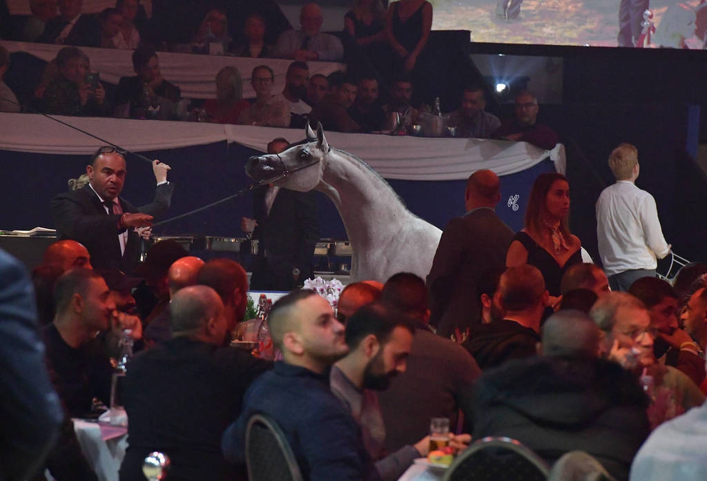 Lisa Abraham: The 2018 All Nations Cup Festival Photo Gallery