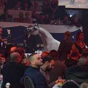 Lisa Abraham: The 2018 All Nations Cup Festival Photo Gallery