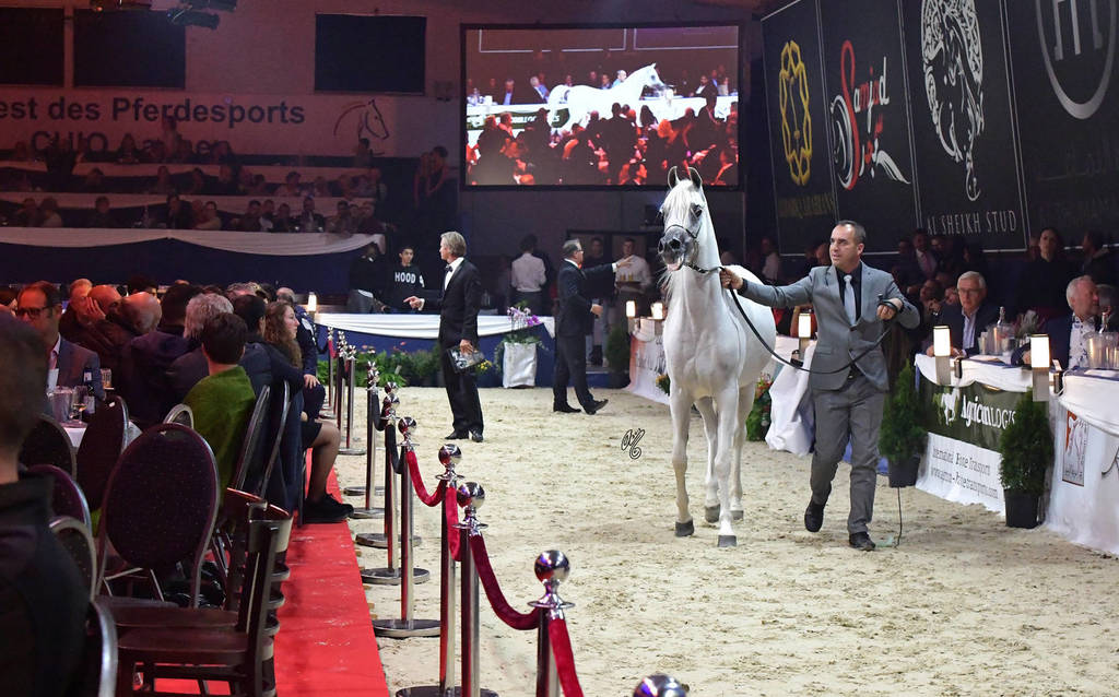 Lisa Abraham: The 2018 All Nations Cup Festival Photo Gallery