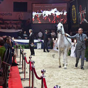 Lisa Abraham: The 2018 All Nations Cup Festival Photo Gallery