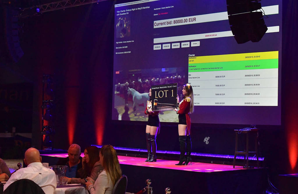 Lisa Abraham: The 2018 All Nations Cup Festival Photo Gallery