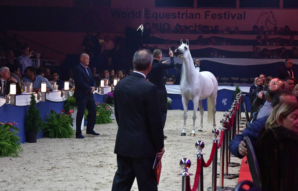 Lisa Abraham: The 2018 All Nations Cup Festival Photo Gallery