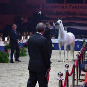 Lisa Abraham: The 2018 All Nations Cup Festival Photo Gallery