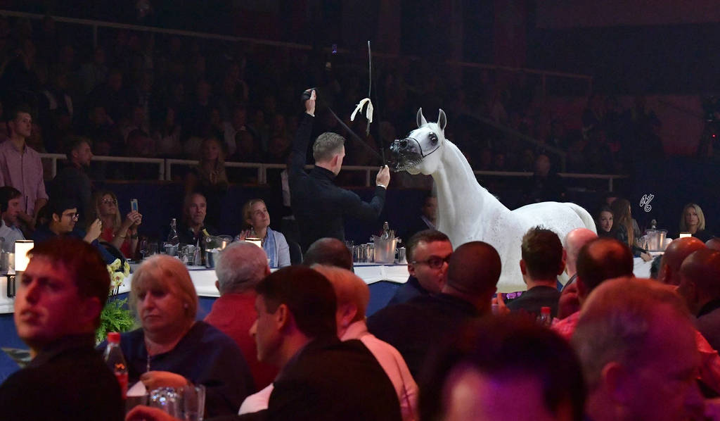 Lisa Abraham: The 2018 All Nations Cup Festival Photo Gallery