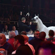 Lisa Abraham: The 2018 All Nations Cup Festival Photo Gallery