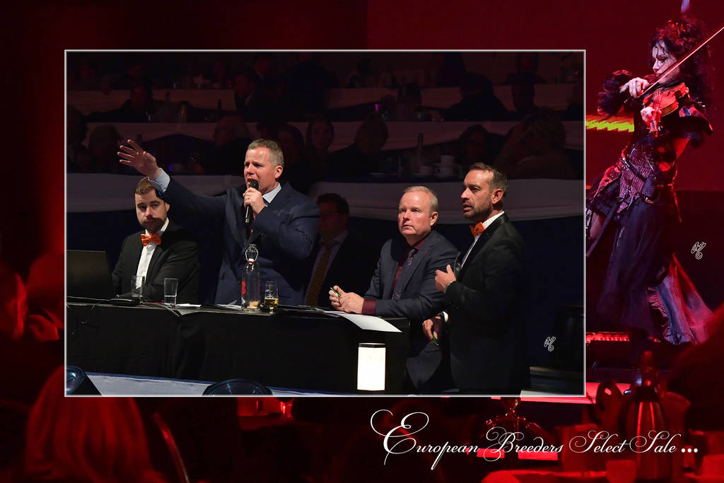 Lisa Abraham: The 2018 All Nations Cup Festival Photo Gallery