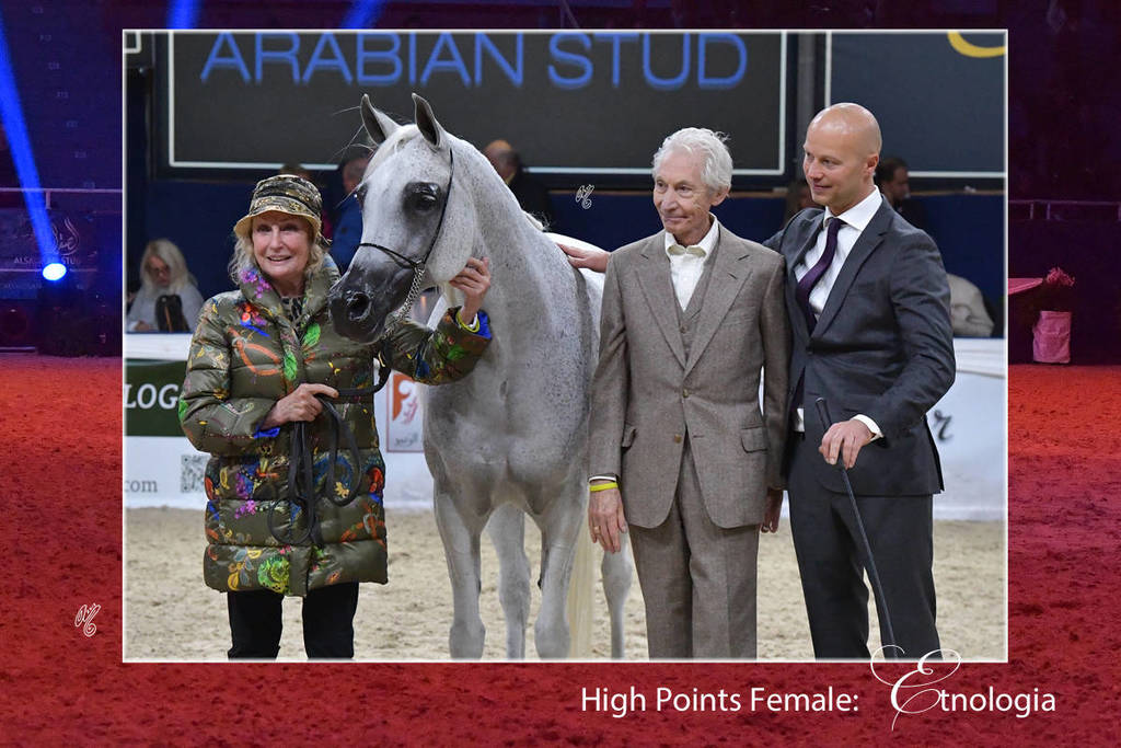 Lisa Abraham: The 2018 All Nations Cup Festival Photo Gallery