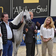 Stallions 4-6 Years: Atius O