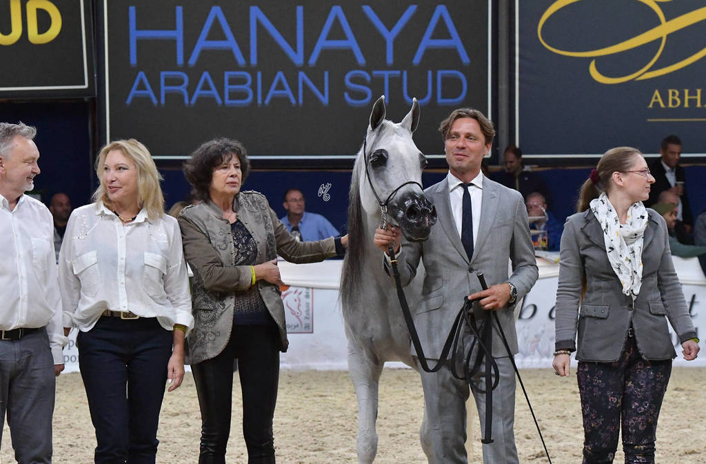 Mares 7-10 Years: Psyche Kreuza