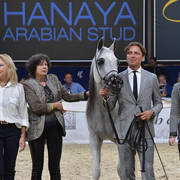 Mares 7-10 Years: Psyche Kreuza