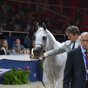 Mares 7-10 Years: Psyche Kreuza