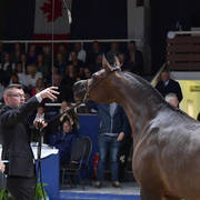 Mares 7-10 Years: Primera