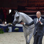 Mares 7-10 Years: Alfabia Akiabara