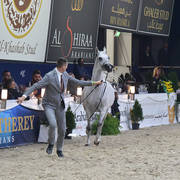 Mares 4-6 Years: Wildona