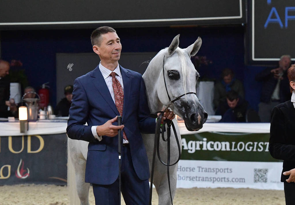 Mares 4-6 Years: Wildona