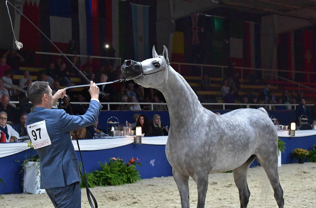 Fillies 3 Years: D Ajayeb