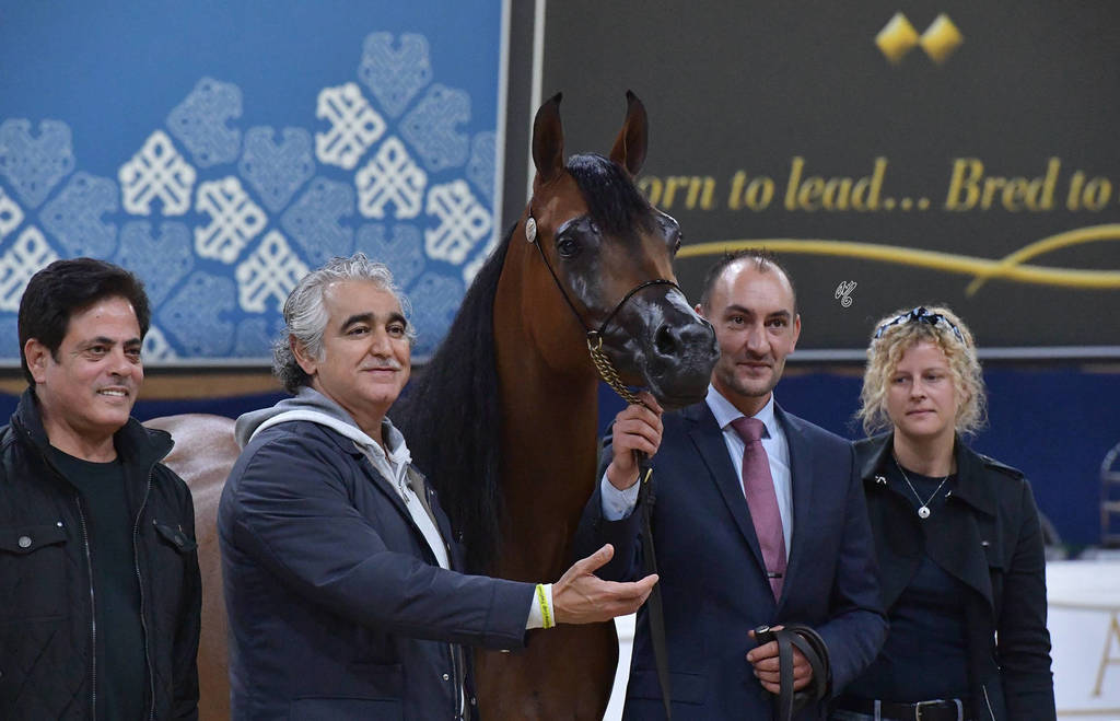 Fillies 3 Years: Loulou Al Nasser