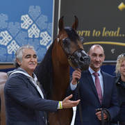 Fillies 3 Years: Loulou Al Nasser