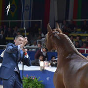 Fillies 3 Years: Emanolla