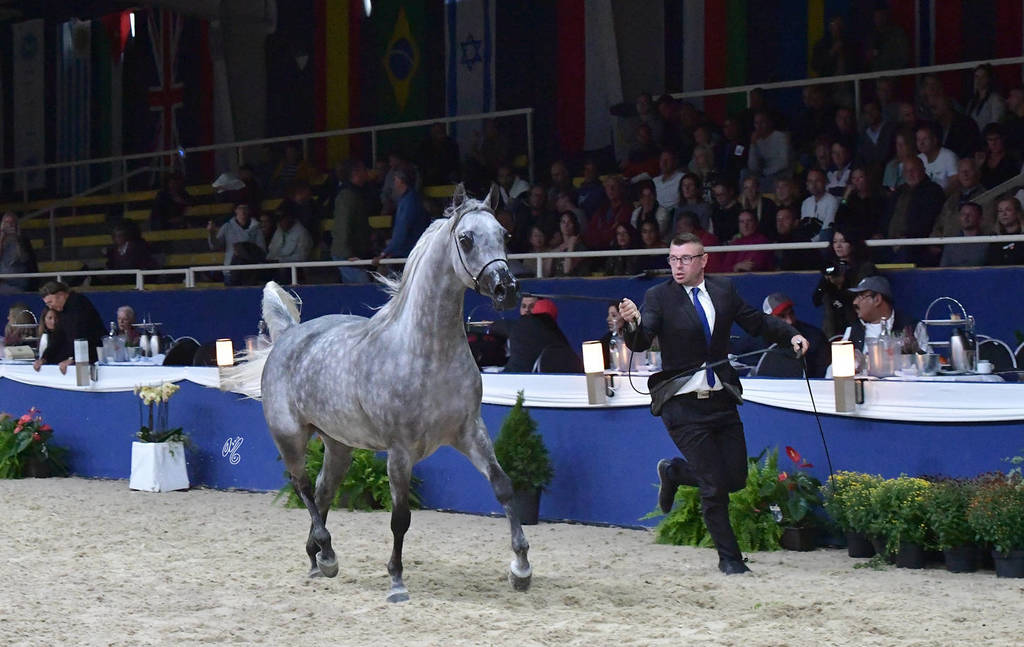 Fillies 3 Years: Atakama