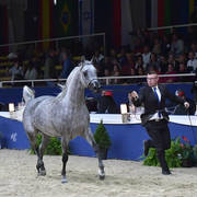 Fillies 3 Years: Atakama