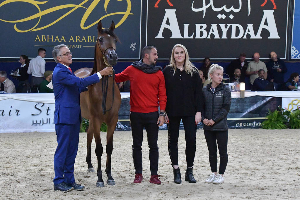 Yearling Filly: MB Vivyanna